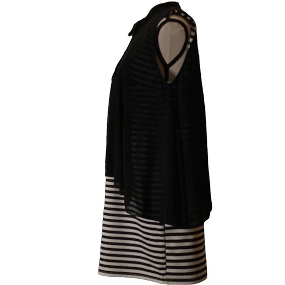 LAVENA- black & white stripe sleeveless dress with sheer black swing overlay - Picture 3 of 9